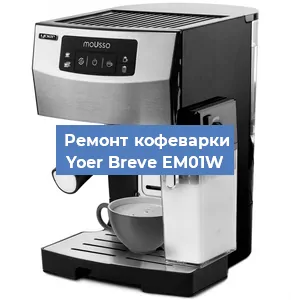 Чистка кофемашины Yoer Breve EM01W от накипи в Самаре